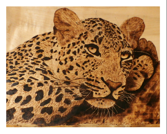 "Chilling Jaguar" Art Print