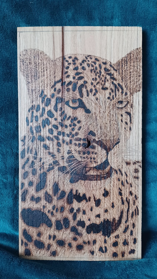 Tired Jaguar