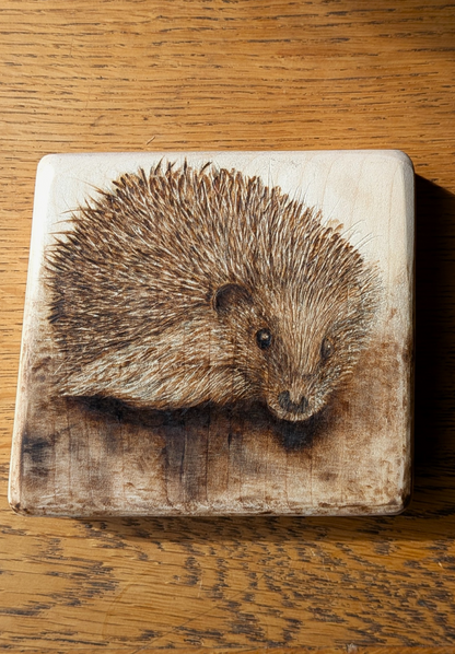 Bonfire Companion - Postcard