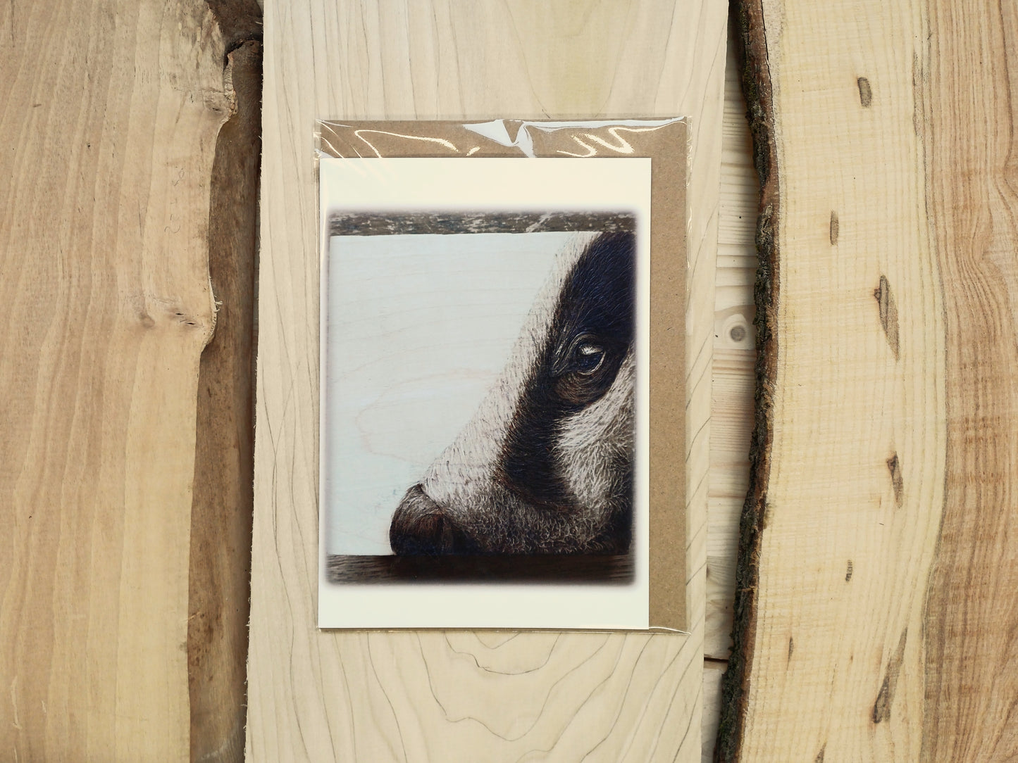 "Your Badgering Me" Greeting Card